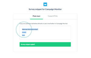 image of Step 7 - copying your campaign monitor snippet - of how to integrate yesinsights into campaign monitor