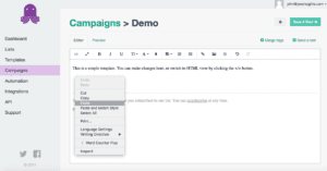 image of Step 8 - pasting your survey snippet in emailoctopus - of how to integrate yesinsights into emailoctopus