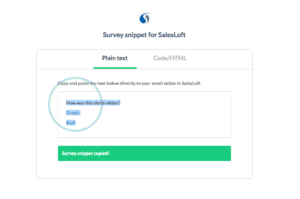 image of Step 7 - copying your salesloft snippet - of how to integrate yesinsights into salesloft